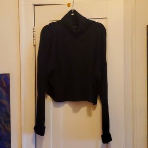 Cropped turtleneck